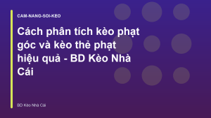 Read more about the article Cách phân tích kèo phạt góc và kèo thẻ phạt hiệu quả – BD Kèo Nhà Cái